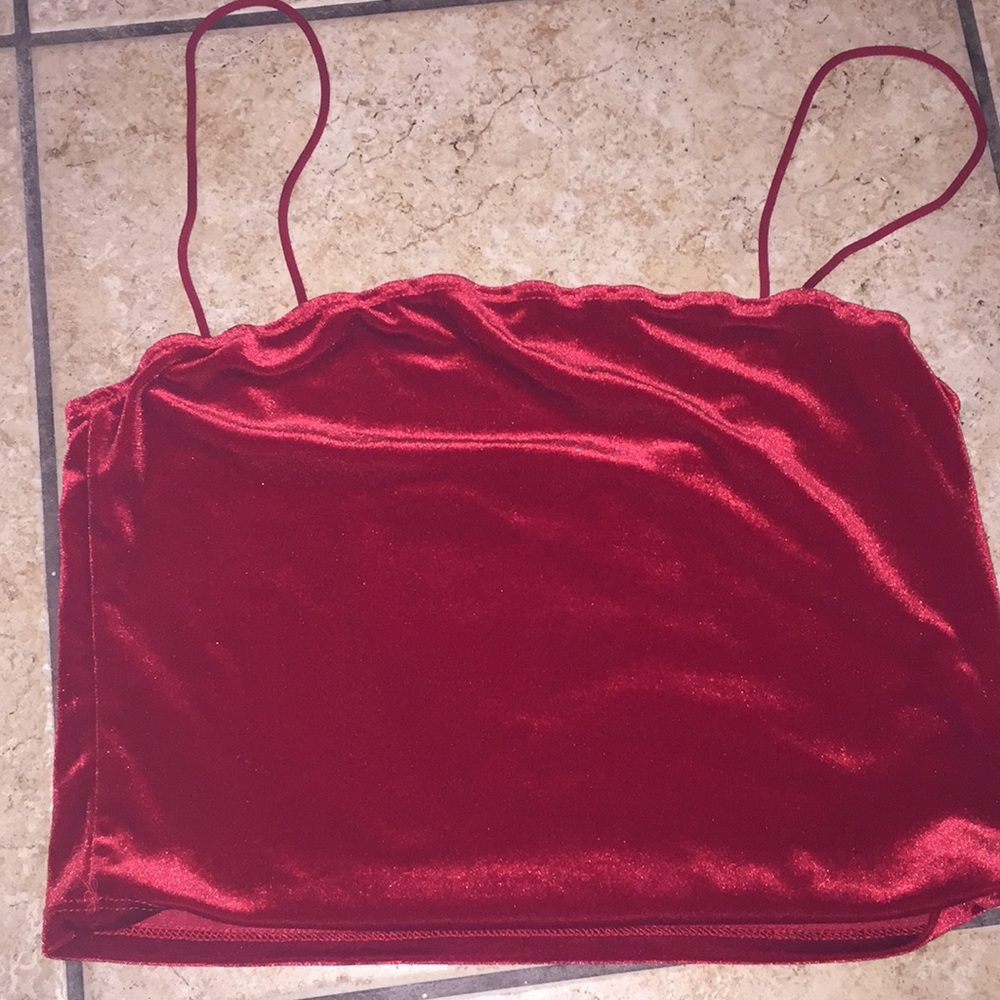 Red velvet crop top